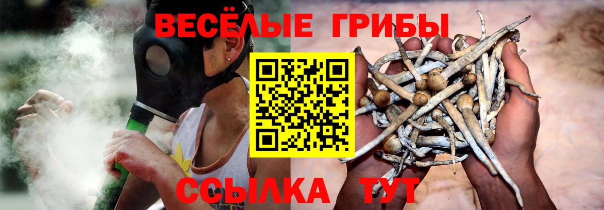 Галлюциногенные грибы Magic Shrooms Арсеньев
